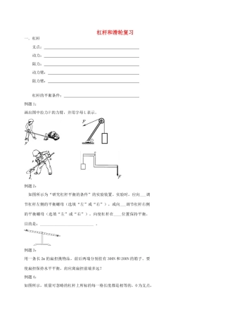 中考物理冲刺复习 力学总复习 杠杆和滑轮训练试卷