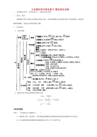 九年级化学分章总复习 碳及其化合物试卷