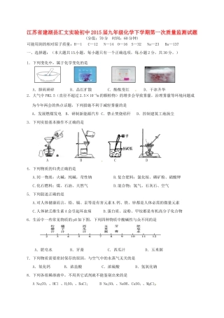 九年级化学下学期第一次质量监测试卷试卷