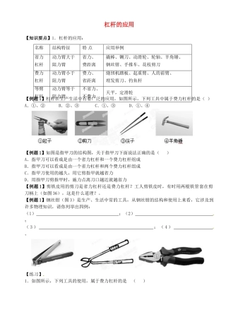 中考物理总复习 杠杆的应用试卷