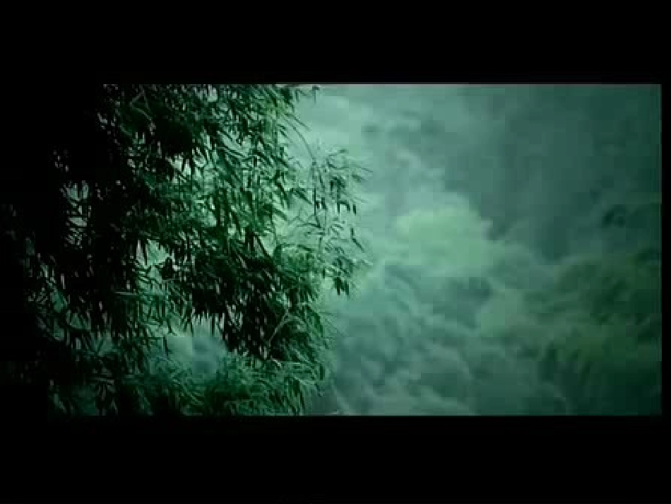 将进酒.课件_第1页
