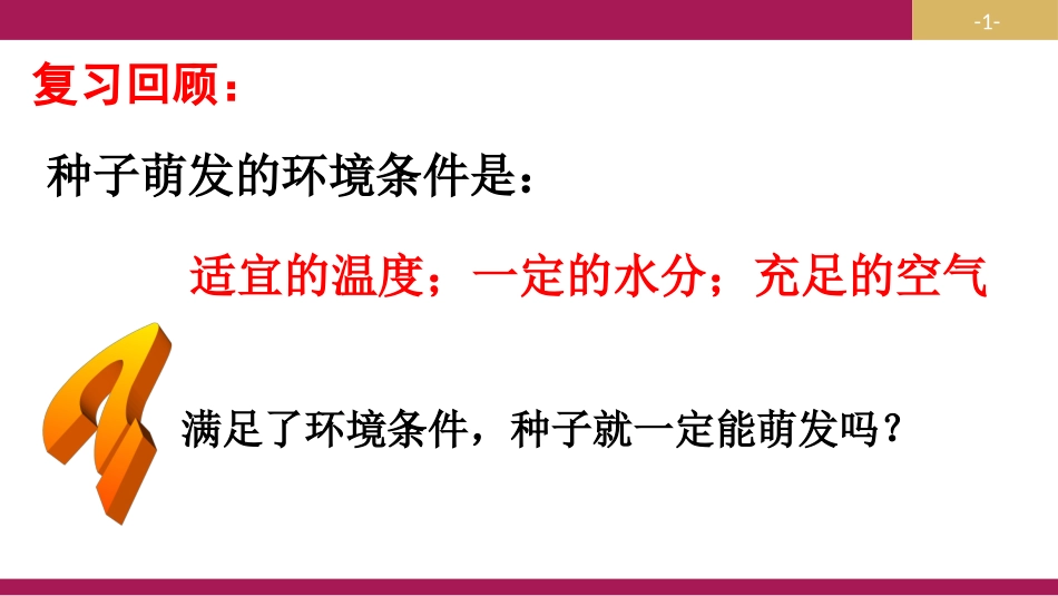3.2.1种子的萌发-(第二课时)_第1页