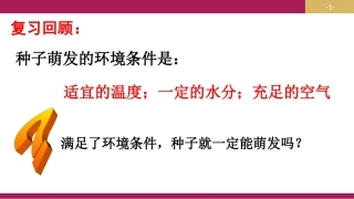 3.2.1种子的萌发-(第二课时)