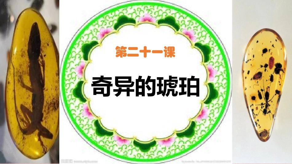 21奇异的琥珀_第1页