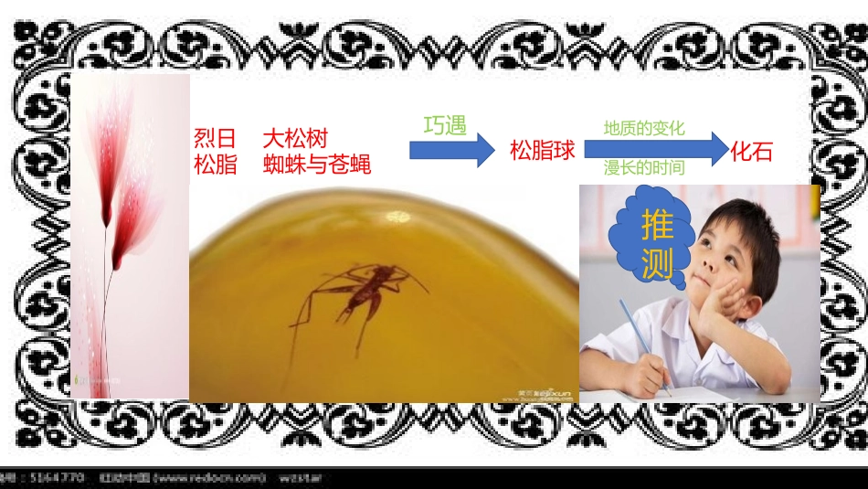 21奇异的琥珀_第3页