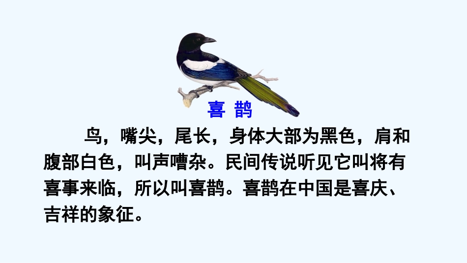 (部编)人教语文2011课标版一年级下册6.树和喜鹊_第2页