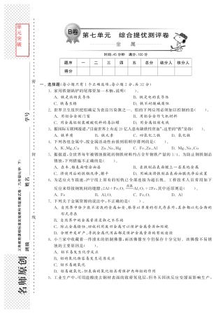 九年级化学全册 第九单元 综合提优测评卷(B卷)(pdf)(新版)鲁教版试卷