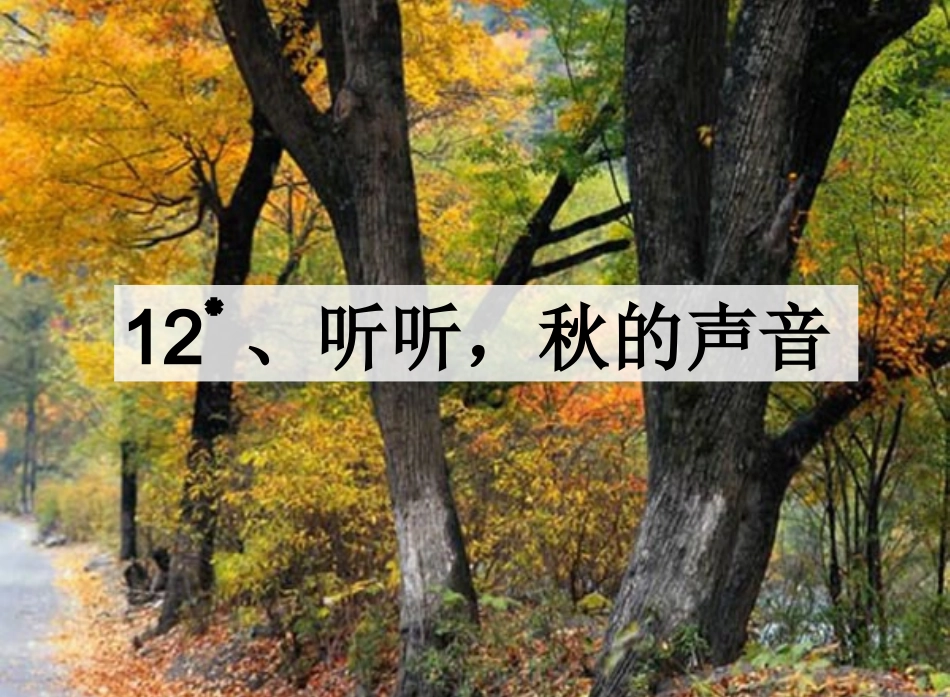 12-听听-秋的声音_第1页