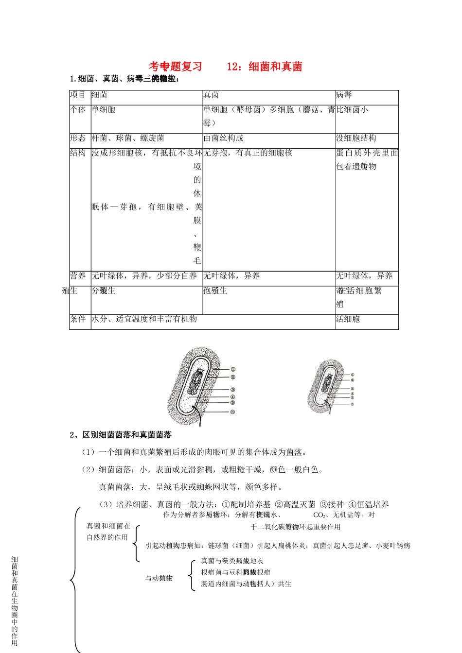 中考生物专题复习(十二)细菌和真菌 人教新课标版试卷_第1页
