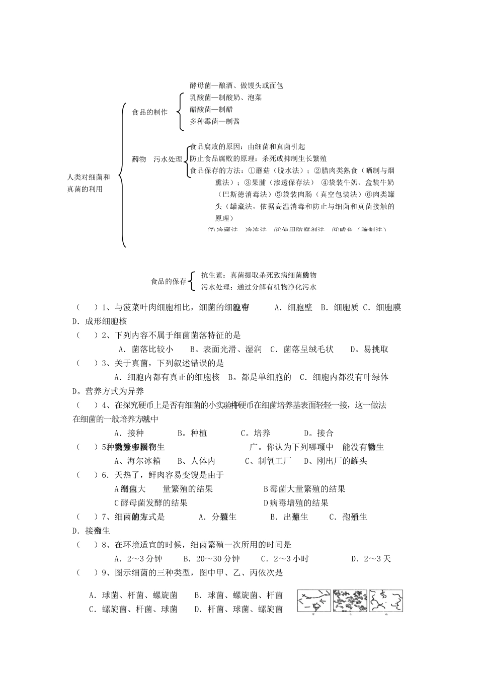 中考生物专题复习(十二)细菌和真菌 人教新课标版试卷_第2页