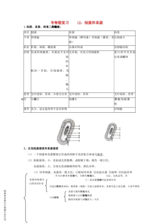 中考生物专题复习(十二)细菌和真菌 人教新课标版试卷
