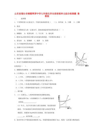 九年级化学全册 溶液单元综合检测题 鲁教版试卷