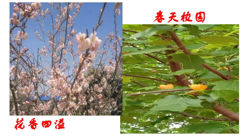 1.认识分子_第3页
