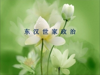六、东汉世家