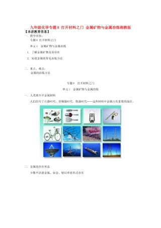 九年级化学专题8 打开材料之门 金属矿物与金属冶炼湘教版知识精讲试卷