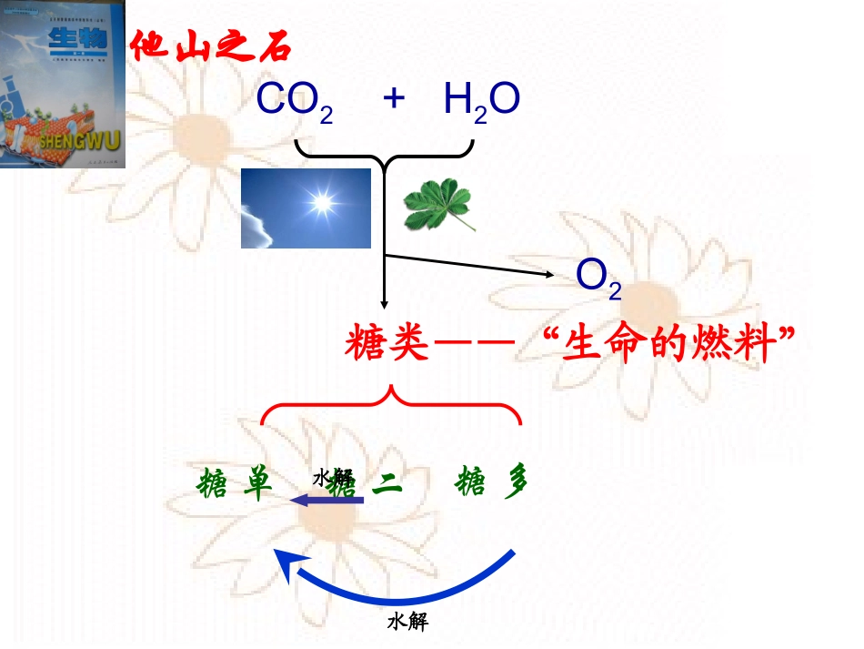 糖类(wy)_第3页