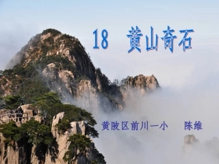 黄山奇石陈维
