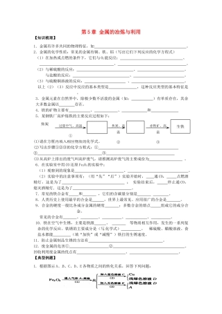 九年级化学上册 第5章 金属的冶炼与利用复习(新版)沪教版试卷