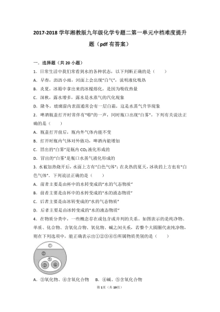 九年级化学上册 专题二 走进物质世界 第一单元 形形色色的物质中档难度提升题(pdf，含解析) 湘教版试卷
