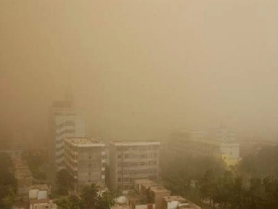 植树问题演示文稿_第2页