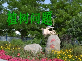 植树问题演示文稿