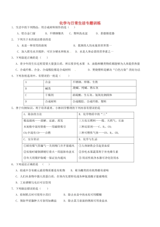 九年级化学 化学与日常生活专题训练试卷