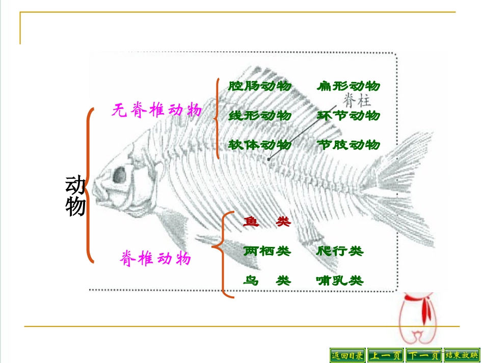 5.1.4鱼_第3页