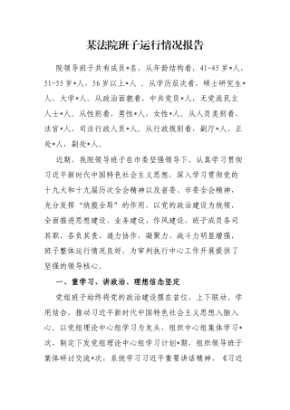 某法院班子运行情况报告