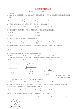 九年级数学期末抽测题 新人教版试卷