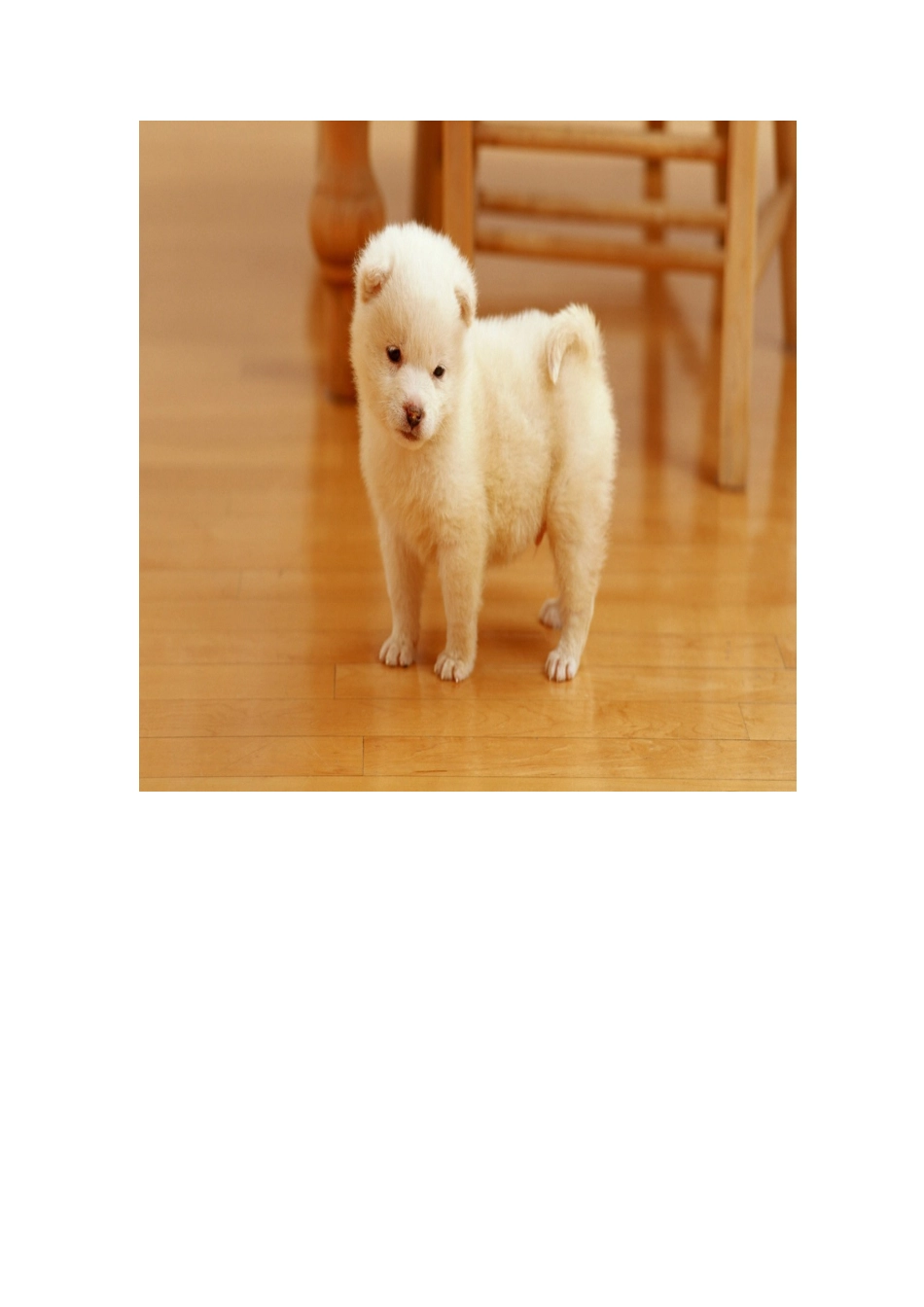 Lesson2课后链接1_第3页