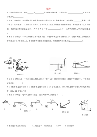 中考物理压题之杠杆试卷