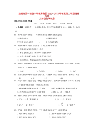 九年级化学下学期调研考试试卷 苏教版试卷