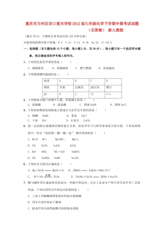 九年级化学下学期中期考试试卷 新人教版试卷