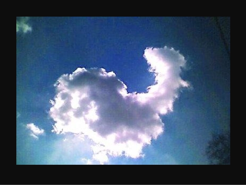 第6课能“变化”的蔬果_第1页