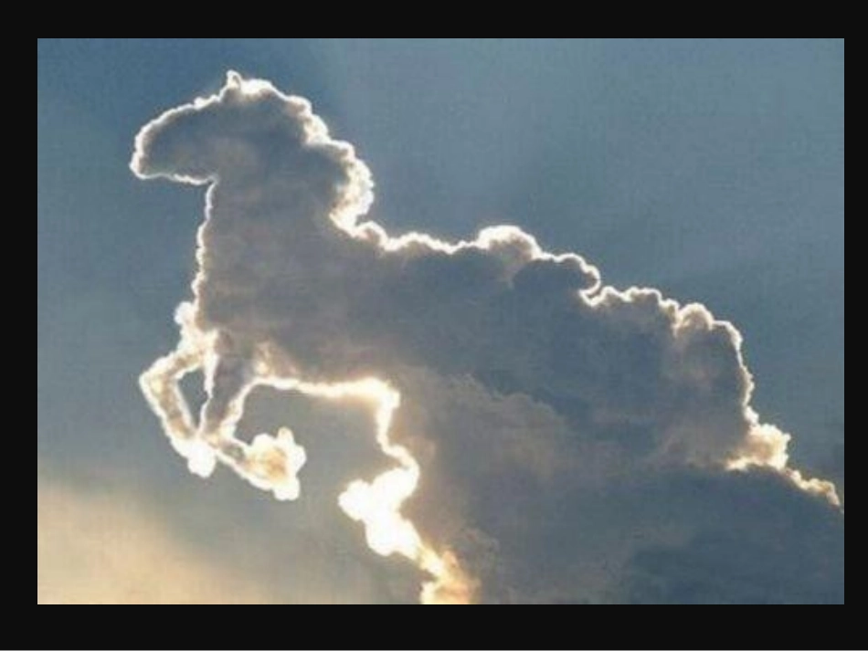 第6课能“变化”的蔬果_第2页