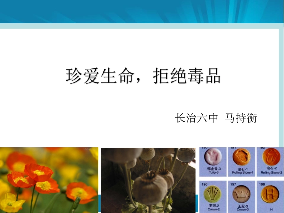 科学·技术·社会-拒绝毒品-慎用心理药物-(5)_第1页