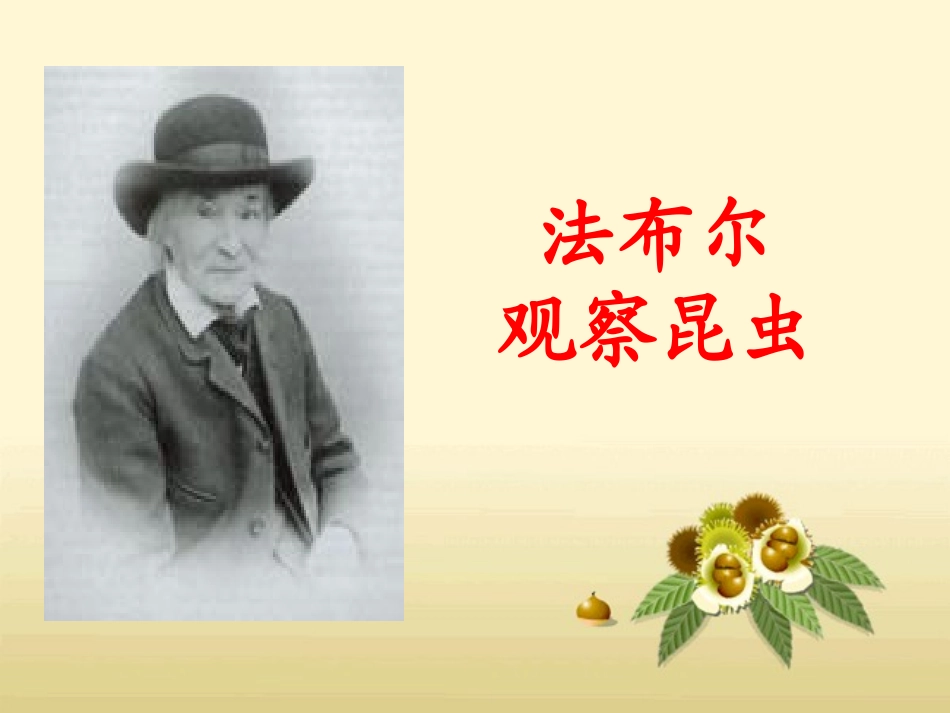 《法布尔观察昆虫》教学课件_第1页
