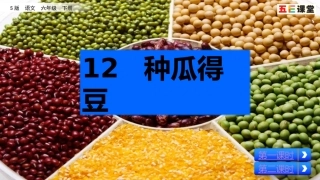 12种瓜得豆