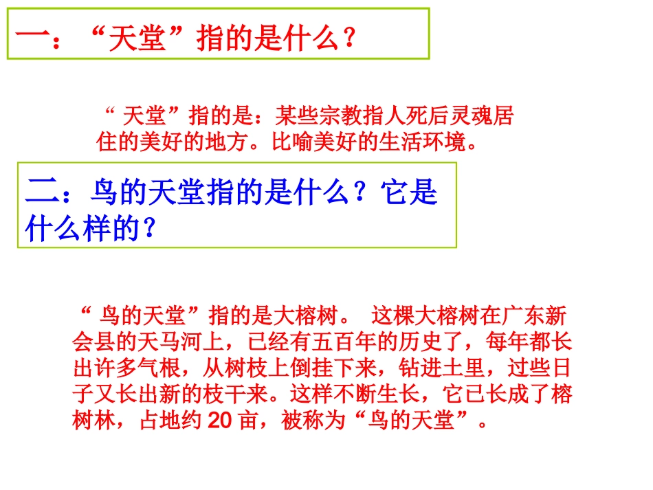 四年级上册鸟的天堂_第1页