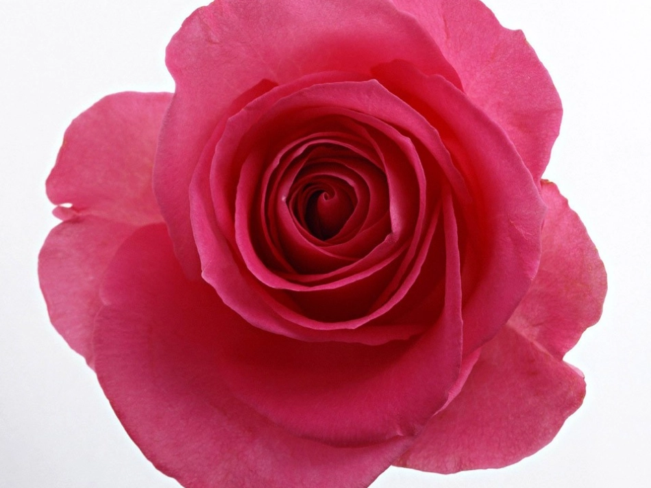 25-太阳是大家的_第1页