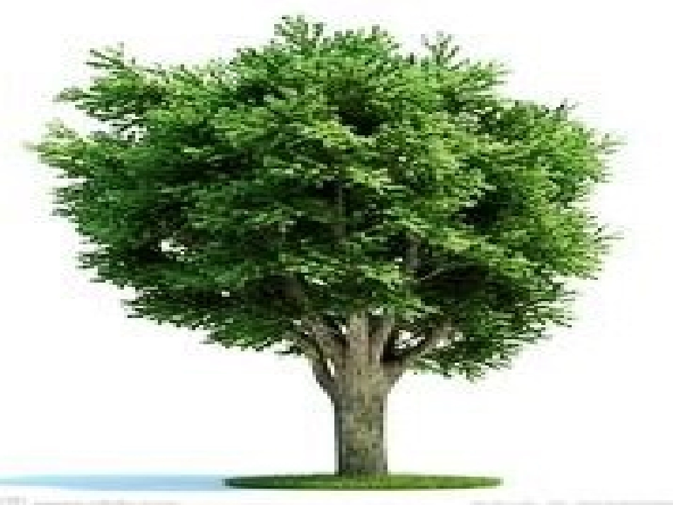 25-太阳是大家的_第2页