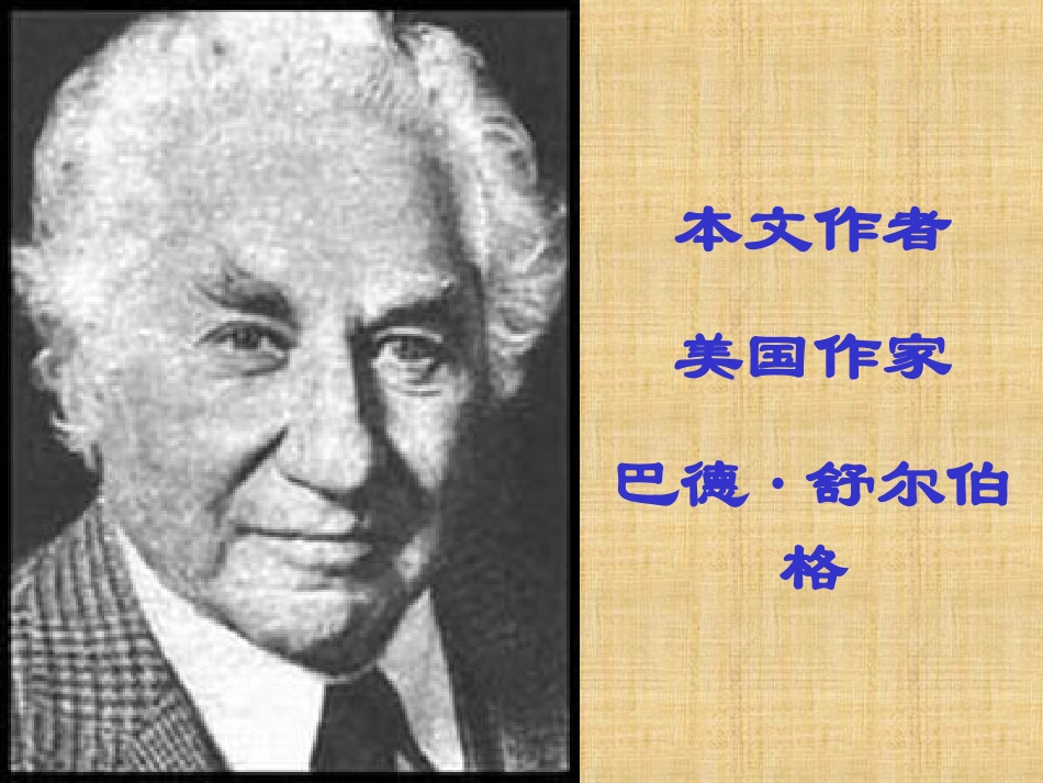 13“精彩极了”和“糟糕透了”-课件-六年级上册_第2页