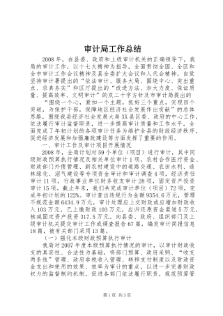 审计局工作总结 (21)