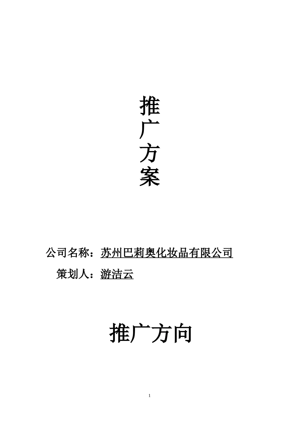 天猫旗舰店运营推广方案_第1页