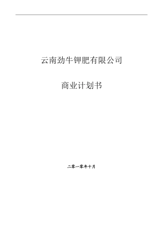 融资商业计划书