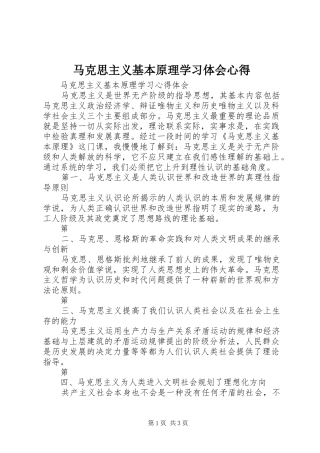 马克思主义基本原理学习体会心得