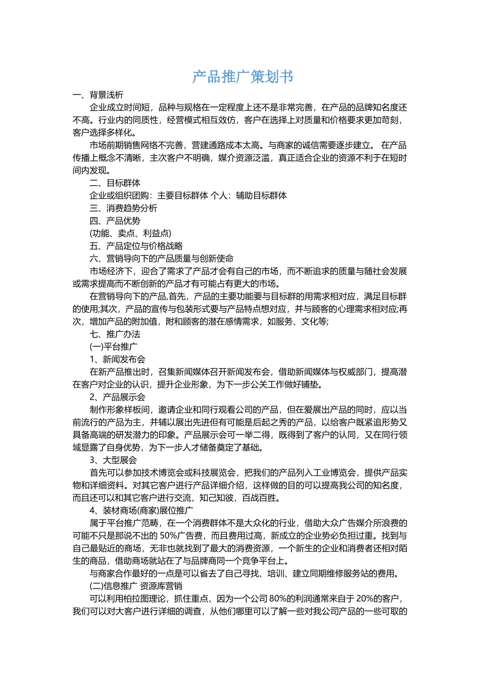 产品推广策划书模板_第2页
