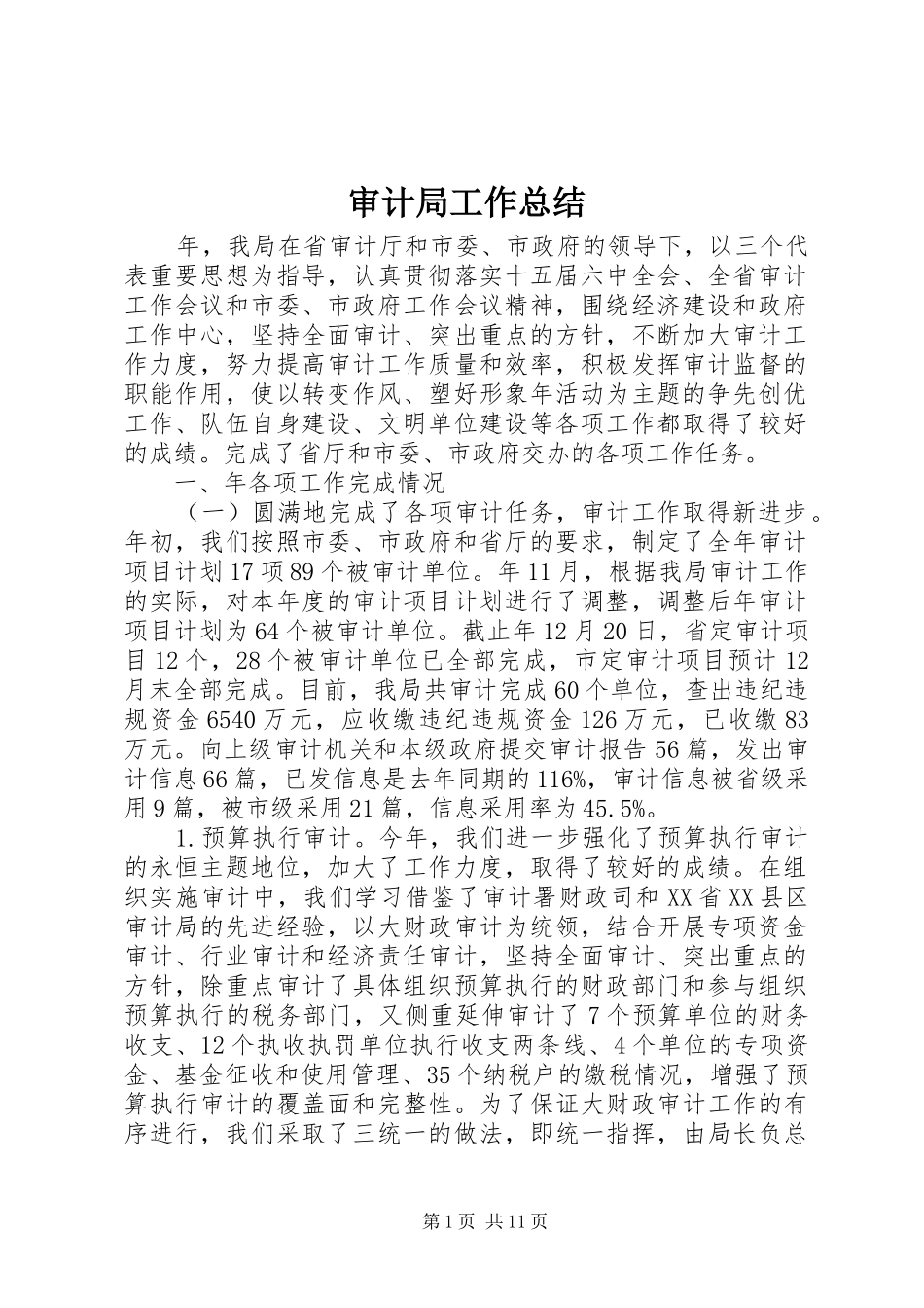 审计局工作总结 (20)_第1页