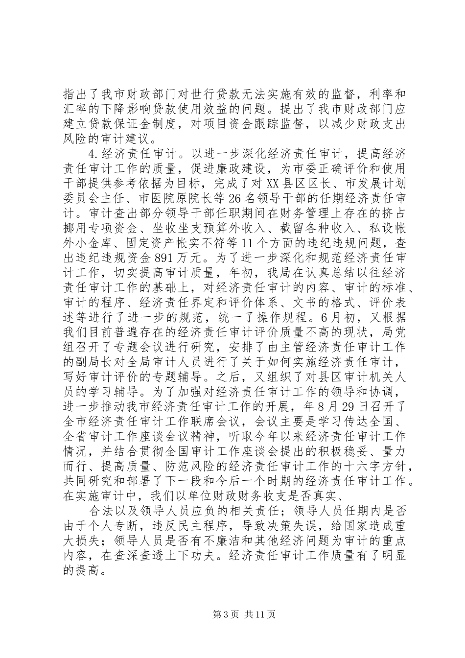 审计局工作总结 (20)_第3页