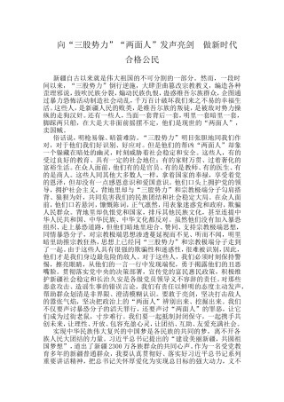 向“三股势力”“两面人”发声亮剑--做新时代合格公民